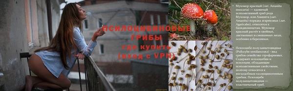 дмт Заволжье