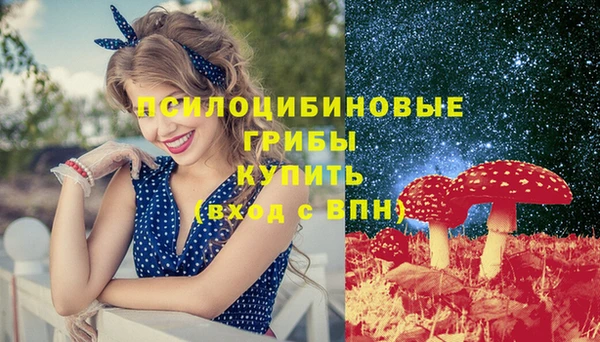 дмт Заволжье