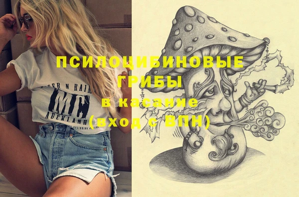 дмт Заволжье