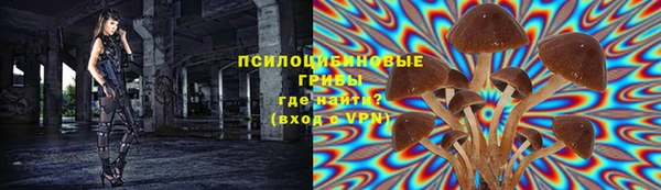 бутират Заводоуковск