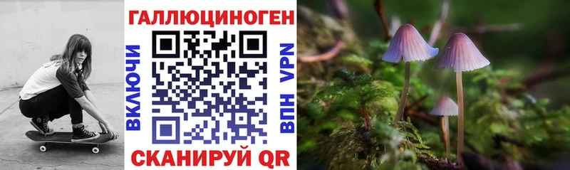 Купить закладки  Лесозаводск  Псилоцибиновые грибы Psilocybe 